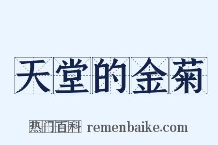 天堂的金菊是什么意思的图片